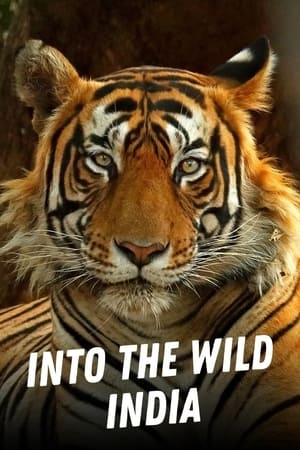 Into the Wild: India online free