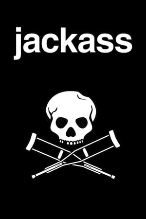 Jackass online free