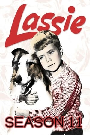 Lassie Season  11 online