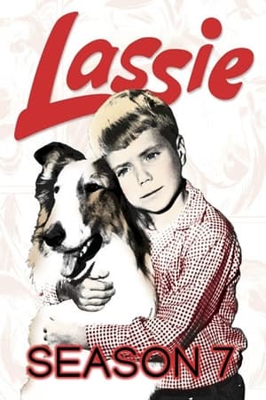 Lassie Season 7 online free