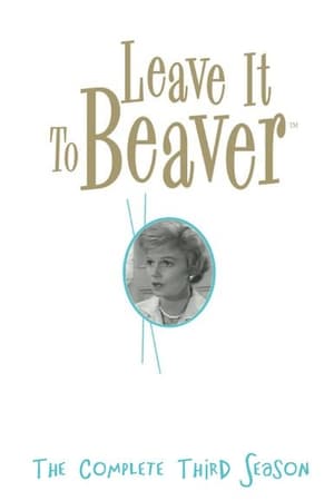 Leave It to Beaver Season  3 online