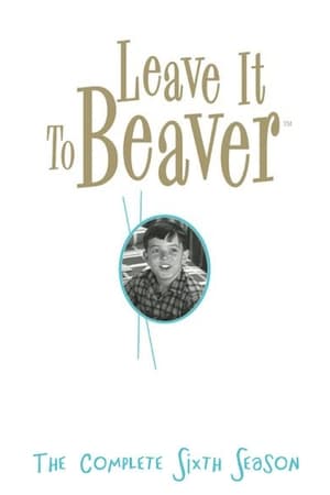 Leave It to Beaver Season 6 online free