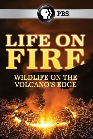 Life on Fire Season 1 online free