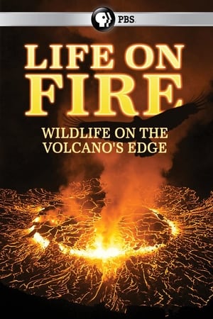 Life on Fire online free