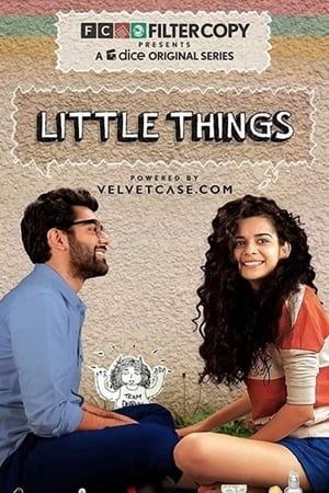 Little Things Season  1 online