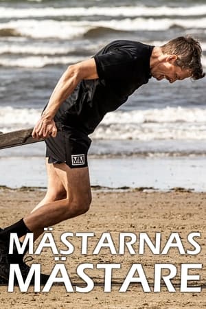 Mästarnas mästare Season  13 online