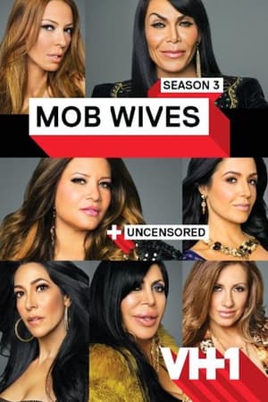 Mob Wives Season  3 online