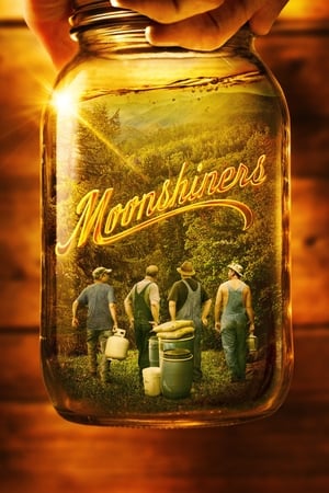 Moonshiners T 13 C 5 online gratis