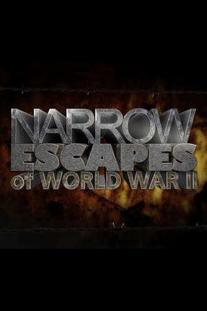 Narrow Escapes of WWII Season 1 online free