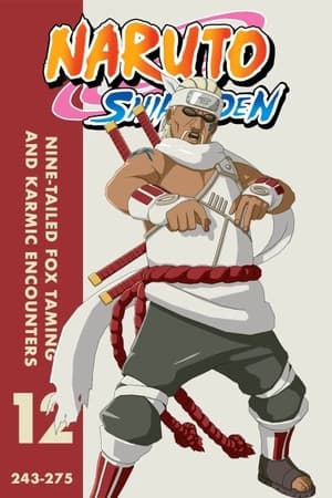 Naruto Shippūden Season  12 online