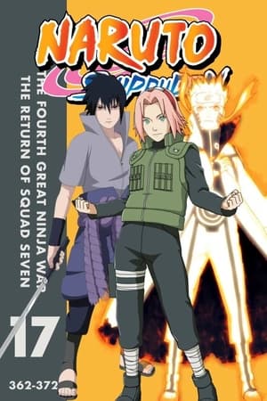 Naruto Shippūden Season  17 online