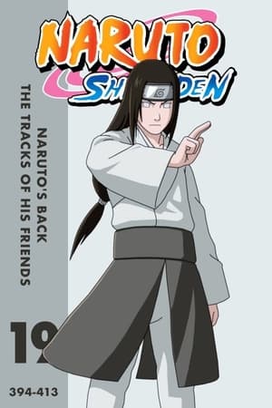 Naruto Shippūden Season  19 online