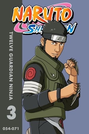 Naruto Shippūden T 3 C 59 online gratis