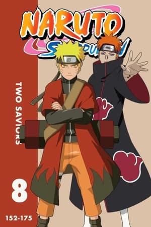 Naruto Shippūden Season  8 online