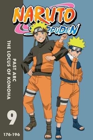 Naruto Shippūden Season  9 online