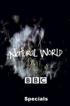 Natural World Season  0 online