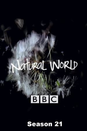 Natural World Season  21 online