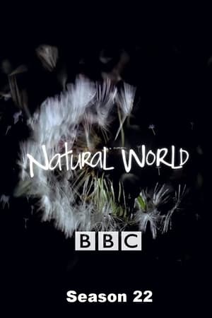 Natural World Season  22 online