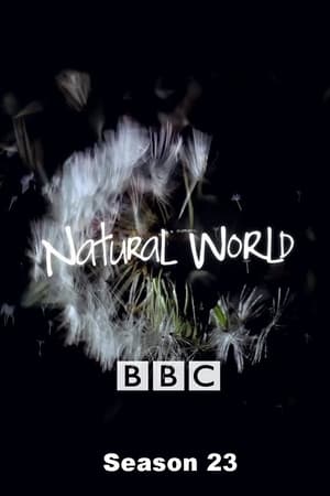 Natural World Season  23 online