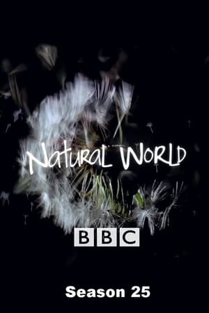 Natural World Season  25 online