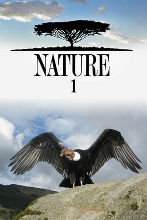 Nature Season  1 online