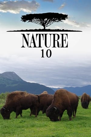 Nature Season  10 online