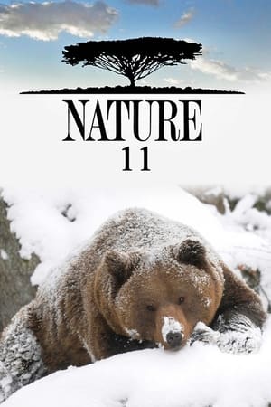 Nature T 11 C 16 online gratis