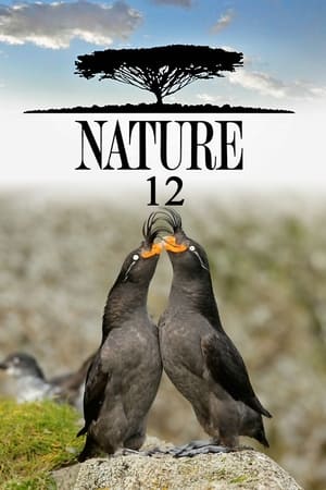 Nature Season  12 online