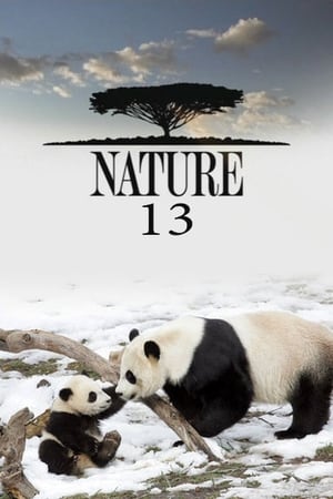 Nature Season  13 online