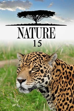 Nature Season  15 online