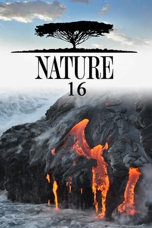 Nature Season  16 online