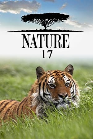 Nature Season  17 online