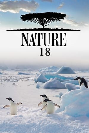 Nature Season  18 online