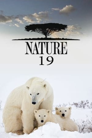 Nature Season  19 online