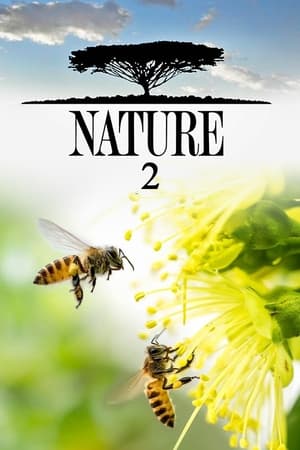 Nature Season 2 online free