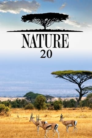 Nature T 20 C 17 online gratis