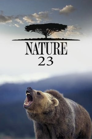 Nature Season  23 online