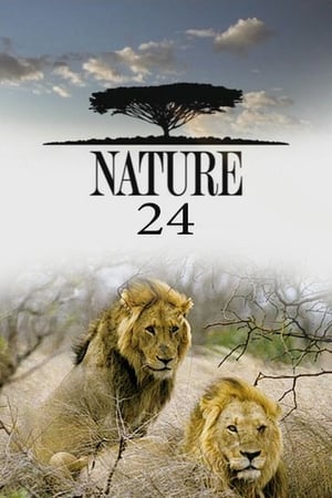 Nature Season 24 online free