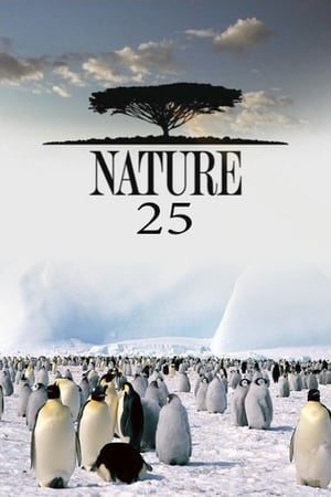 Nature Season  25 online