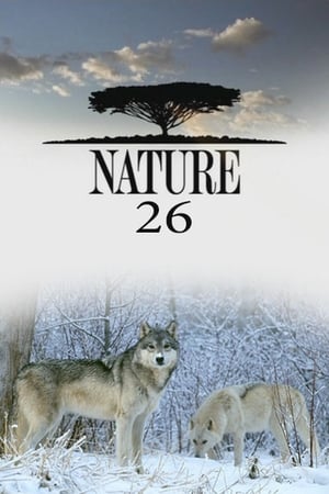 Nature Season  26 online