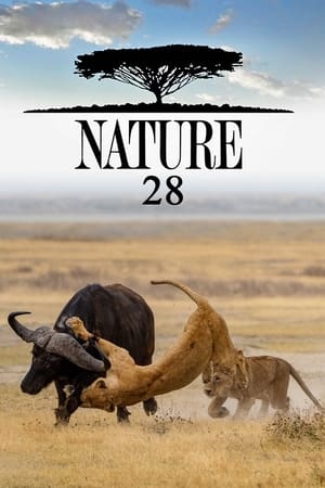 Nature Season  28 online