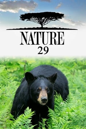 Nature Season  29 online