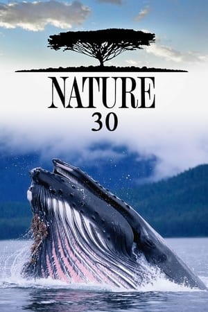 Nature Season  30 online