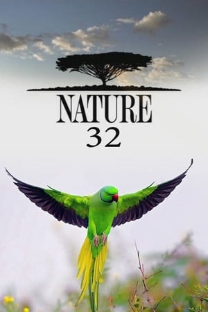 Nature Season  32 online