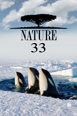 Nature Season  33 online