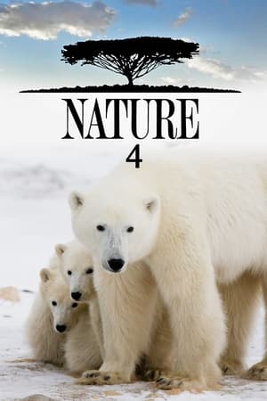 Nature Season  4 online