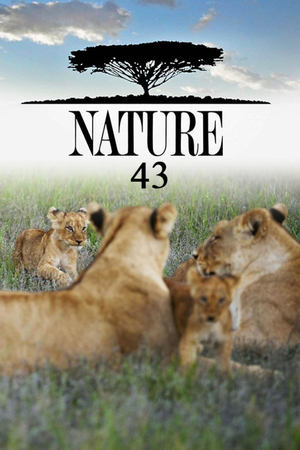 Nature Season  43 online