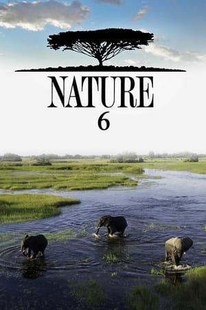 Nature Season 6 online free