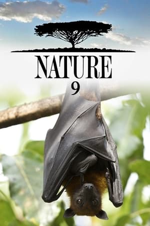 Nature Season 9 online free