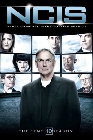 NCIS Season 10 online free